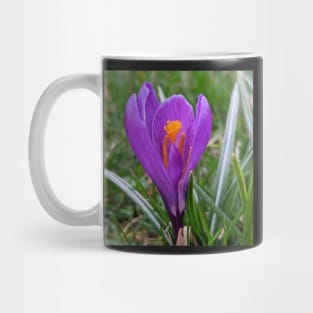 Purple and Orange Flower in Grass Mug